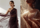 Organza Saree: The Epitome of Sheer Elegance:            